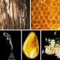 Preview: Duftnoten: Zerndholz, Honig, Weihrauch, Ambra, Kamille